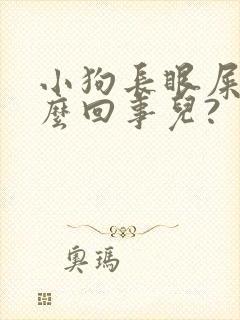 小狗长眼屎是怎么回事儿?