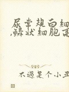 尿常规白细胞高,鳞状细胞高,有细菌