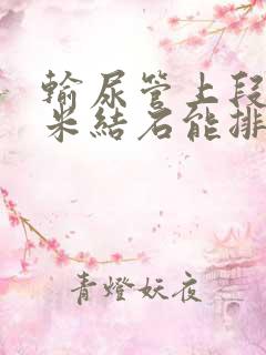 输尿管上段5毫米结石能排出吗