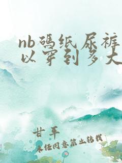 nb码纸尿裤可以穿到多大