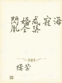 闪婚成宠海彤战胤全集
