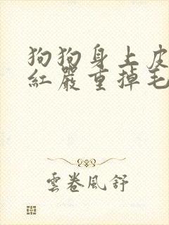 狗狗身上皮肤发红严重掉毛怎么办