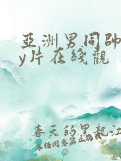 亚洲男同帅gay片在线观