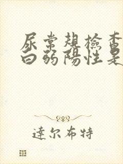 尿常规检查尿蛋白弱阳性是什么意思