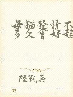 母猫发情不管它多久会好起来