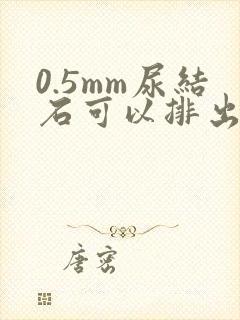 0.5mm尿结石可以排出去吗