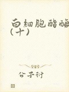 白细胞酯酶阳性(十)