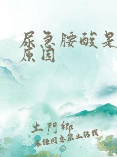 尿急腰酸是什么原因