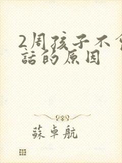 2周孩子不会说话的原因