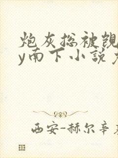 炮灰总被觊觎by南下小说免费阅读无弹窗