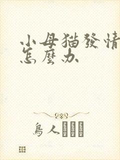 小母猫发情叫唤怎么办