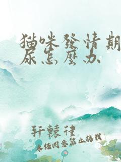 猫咪发情期间乱尿怎么办