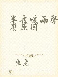 半夜咳两声是什么原因