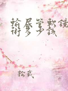 输尿管软镜取石术多少钱