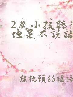 2岁小孩听得懂但是不说话