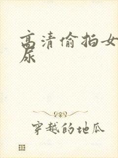 高清偷拍女厕撒尿