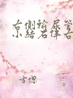 右侧输尿管下端小结石伴右肾轻度积水