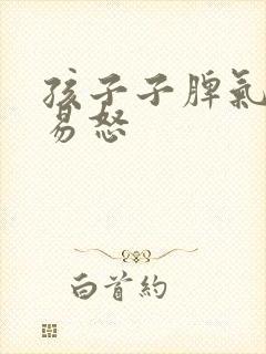 孩子子脾气暴躁易怒