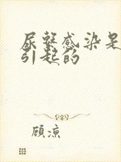 尿系感染是怎么引起的