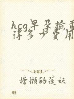 hcg早孕检查得多少费用