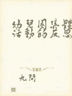 幼儿园集体教学活动的反思