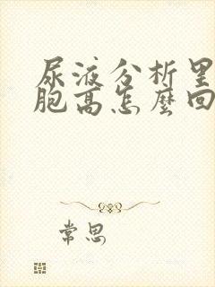 尿液分析里白细胞高怎么回事