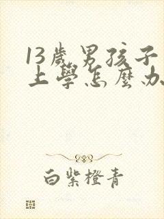 13岁男孩子不上学怎么办