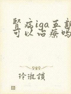 肾病iga五期可以治疗吗