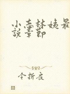 小志林姨最新小说章节