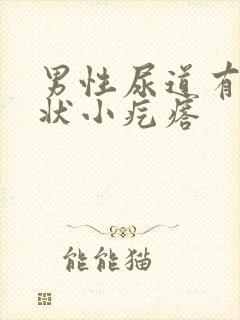 男性尿道有米粒状小疙瘩