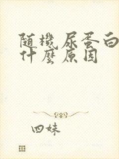 随机尿蛋白高是什么原因