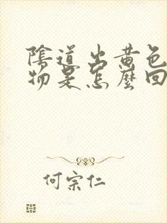 阴道出黄色分泌物是怎么回事