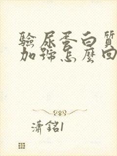 验尿蛋白质2个加号怎么回事