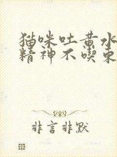 猫咪吐黄水没有精神不吃东西