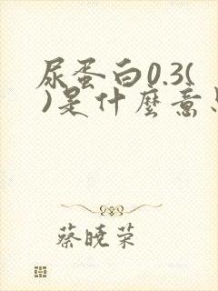 尿蛋白0.3( )是什么意思