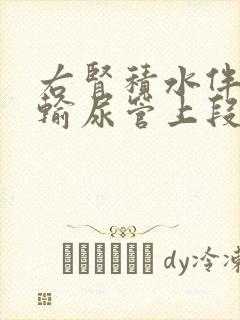 右肾积水伴右侧输尿管上段结石