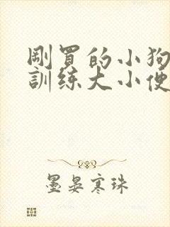 刚买的小狗怎么训练大小便