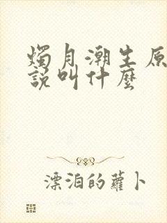 烛月潮生原著小说叫什么