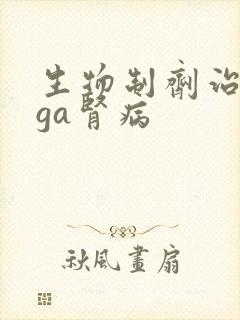 生物制剂治疗iga肾病