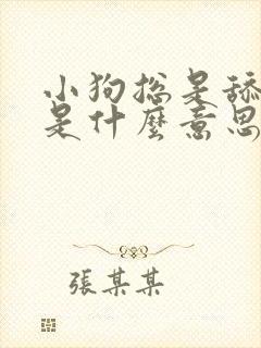 小狗总是舔主人是什么意思