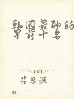 韩国最帅的男明星前十名