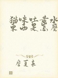 猫咪吐黄水不吃东西是怎么回事