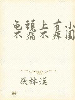 龟头上有小肉粒不痛不痒图片