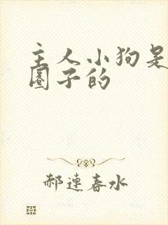 主人小狗是什么圈子的