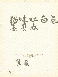 猫咪吐白色泡沫怎么办