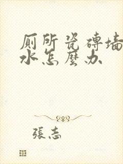 厕所瓷砖墙面渗水怎么办