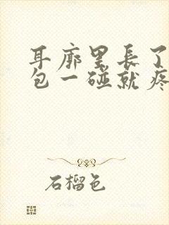 耳廓里长了一个包一碰就疼