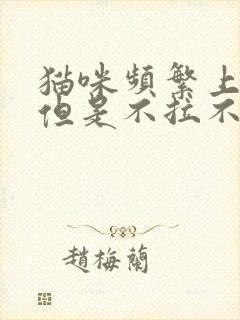 猫咪频繁上厕所但是不拉不尿