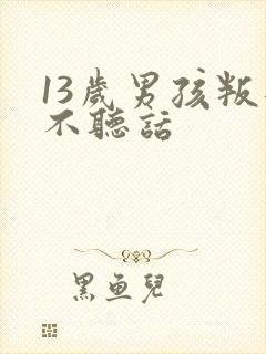 13岁男孩叛逆不听话