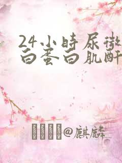 24小时尿微量白蛋白肌酐比值法